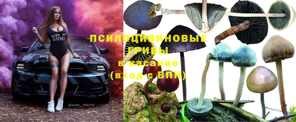 гидропоника Армянск
