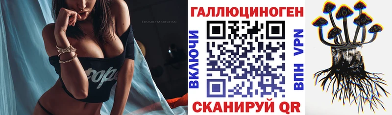 МЕГА маркетплейс  Дудинка  Галлюциногенные грибы Cubensis 